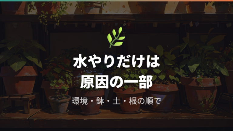 土が乾かない主な原因は水やりだけで決めない