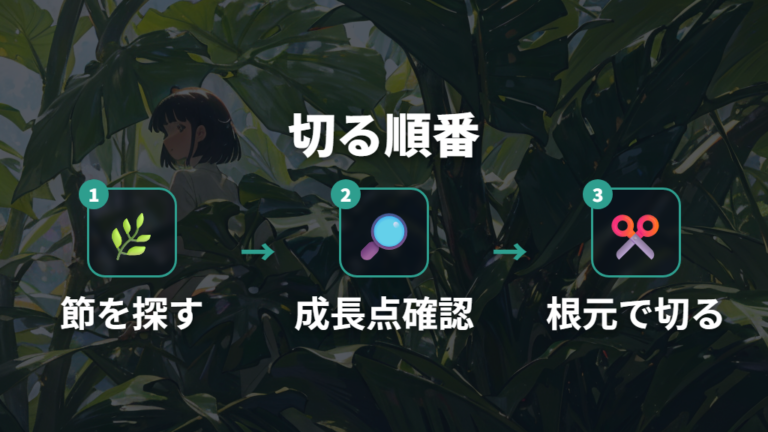 伸びすぎた茎の切り方は成長点を残して考える