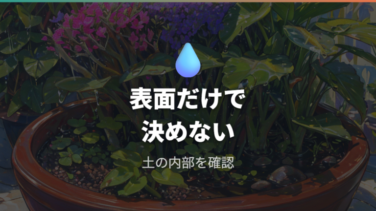 土が乾かない主な原因を水やりと根の状態から見る