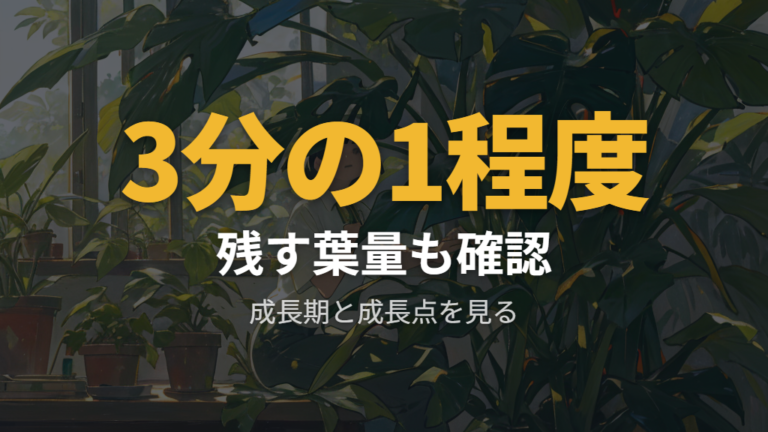 切り戻しで樹形を整えるコツは時期と成長点