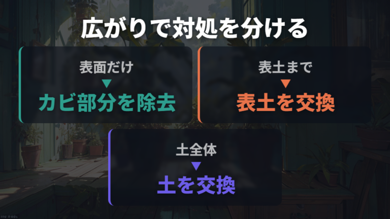 土のカビはどこまで危険なのかを見分ける