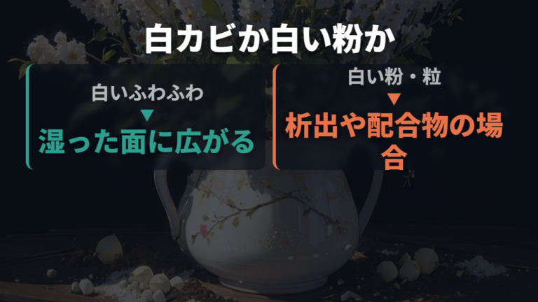 白カビと肥料成分の違いを質感と粒で比べる