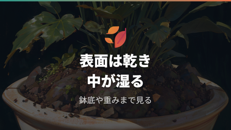 水やり後に乾きにくい理由は鉢と内部の湿りにある