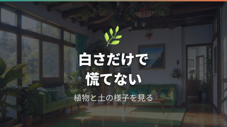 白カビの植物や人体への影響は条件付きで見る