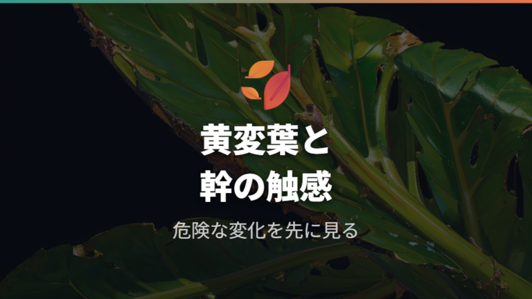 危険な症状との見分け方は黄色い葉と幹の硬さを見る