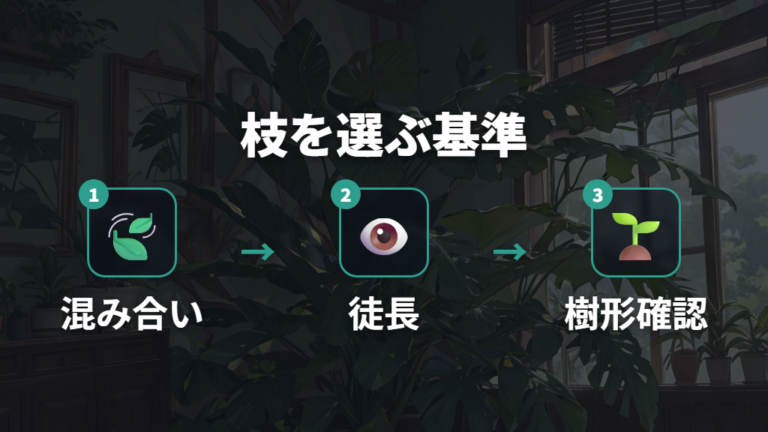 剪定は混み合った枝と徒長した枝から考える