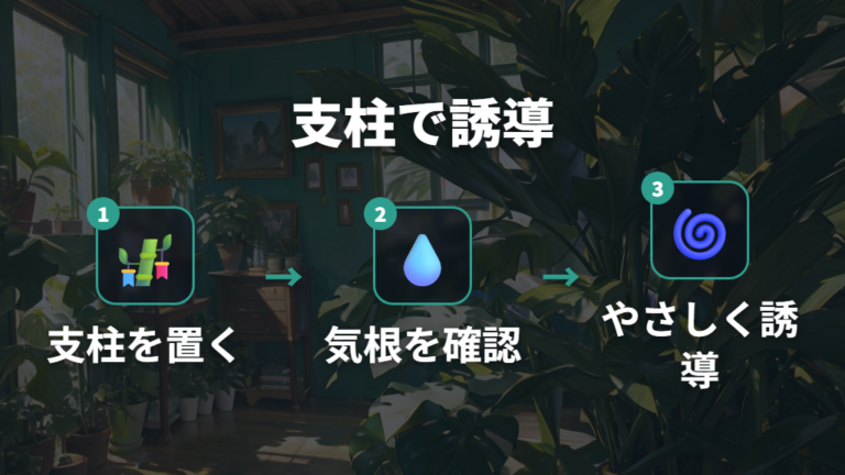 支柱で整える仕立て直しは気根の位置を見ながら誘導する