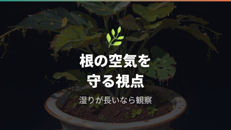 根腐れが起きるサインは土の湿りと根の酸素不足で考える