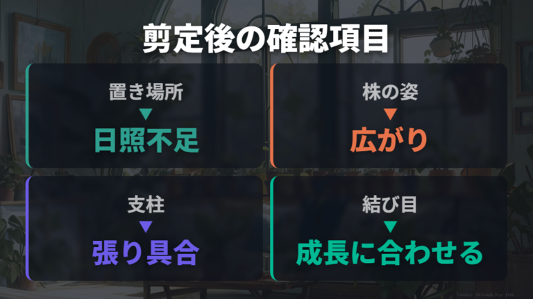 広がりにくい置き場所と育て方は水やりも見直す