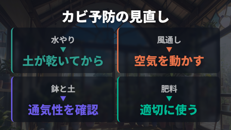 カビが生える原因と予防策は水やりと風通しから見直す