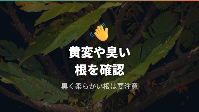 根腐れを疑うサインは葉・臭い・根で見分ける