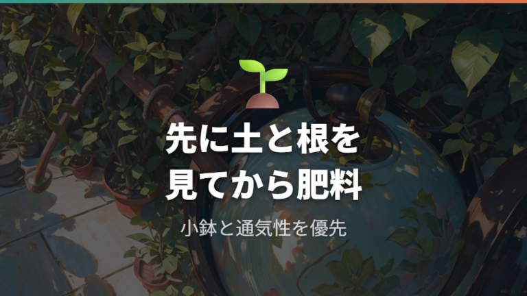 肥料と植え替えで成長を促す時は土と根の状態を優先する