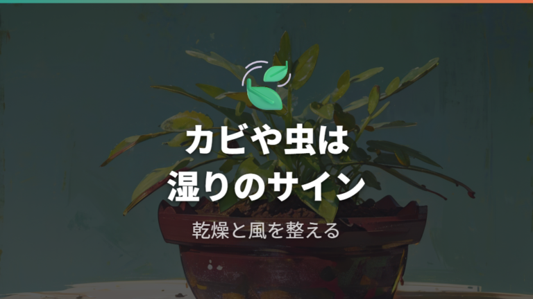 カビやコバエが出る理由は湿度と水やりの重なり