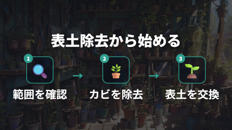 カビを安全に取り除く方法は表土除去から始める