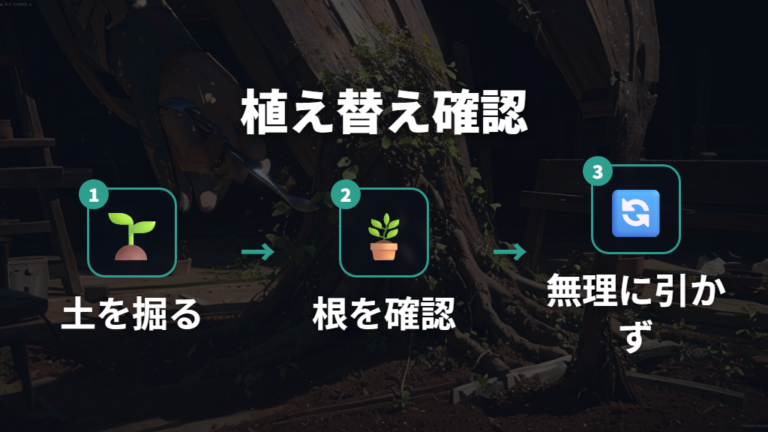 鉢と植え替えで安定させるときは根の状態を確認する