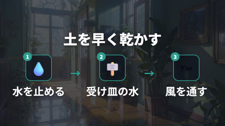 土を早く乾かす方法は水を止めて風を作る