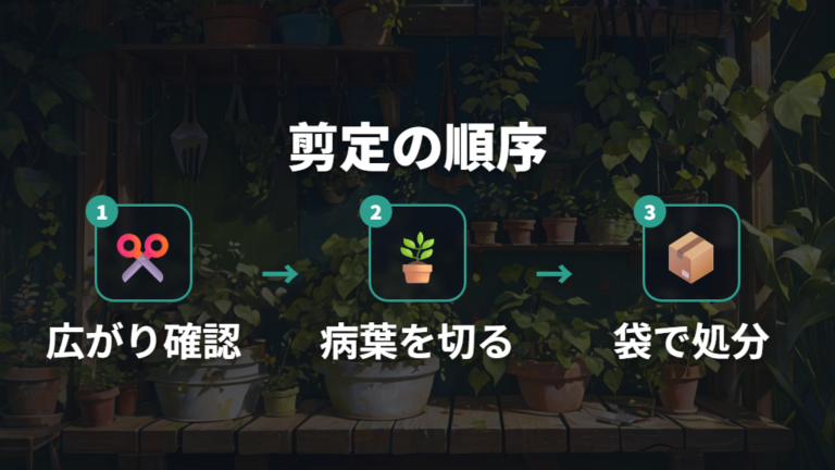 黒い斑点の葉は切るべきか判断する
