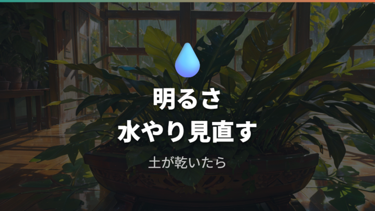 葉が増える育て方の条件は明るい光と水やりで見直す