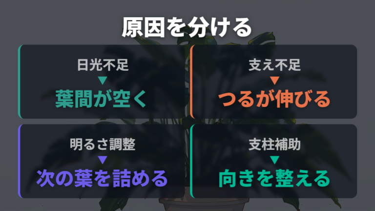 間延びする原因と予防は日光不足と支え不足を分ける