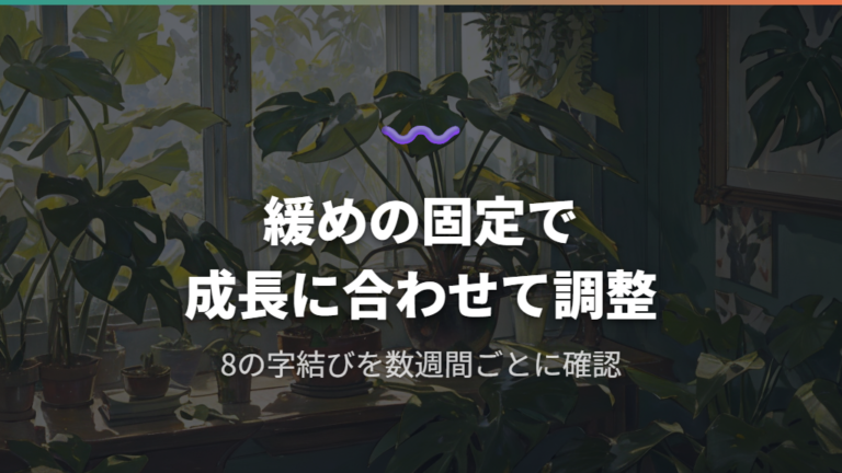 誘引で倒れを防ぐポイントは緩めの固定