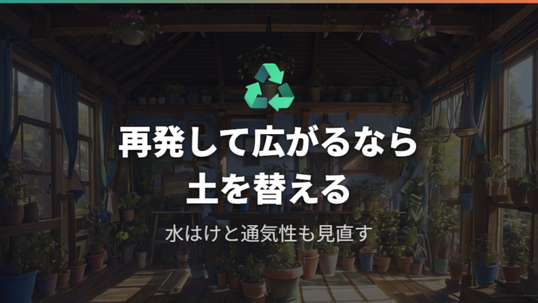 カビを安全に取り除く方法で再発時に土を替える