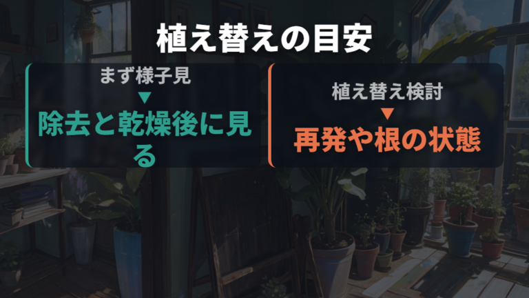 植え替えが必要なケースは再発と根の状態で判断する
