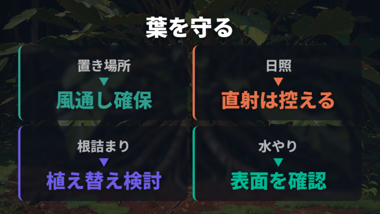 元気な葉を保つ育て方の基本は根詰まりも見逃さない
