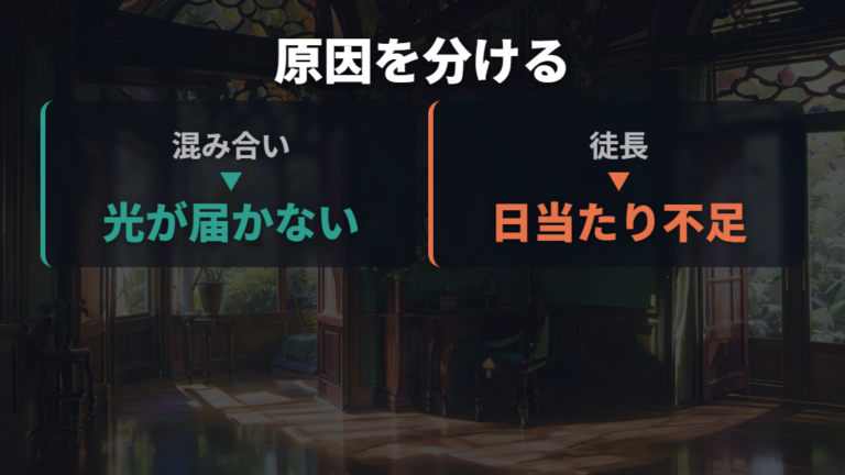 葉が多すぎるときの剪定例は混み合いと徒長を分ける