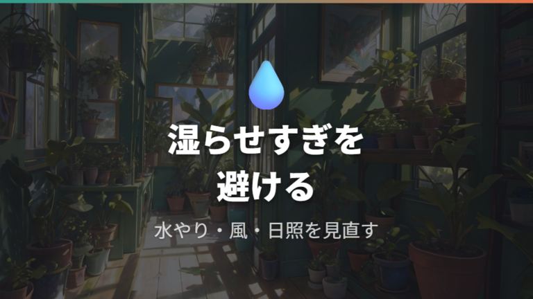 白カビを防ぐ水やりと通気は湿らせすぎを避ける