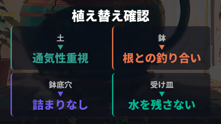 水はけをよくする植え替えは土と鉢を同時に見直す