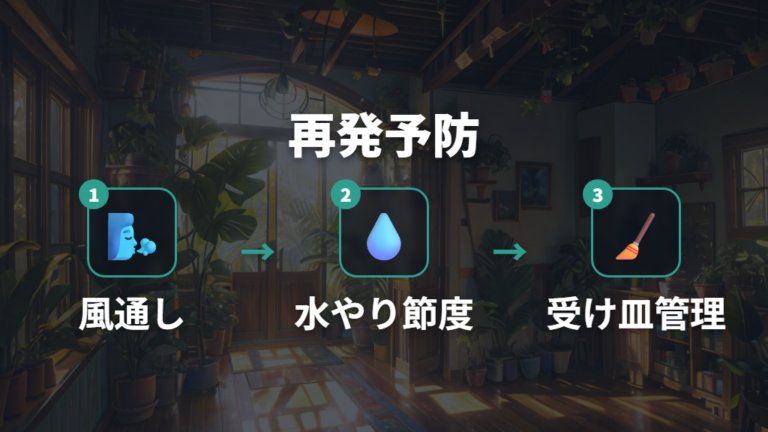 再発を防ぐ育て方の基本は風通しと水やり