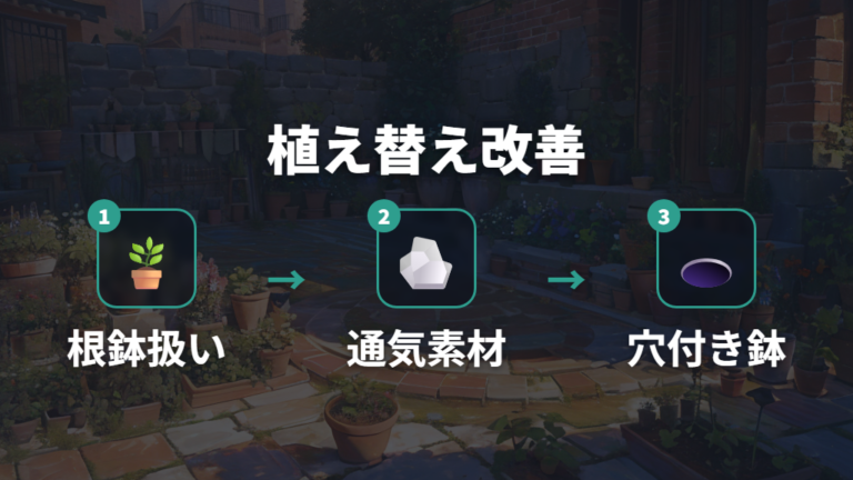 水はけをよくする植え替えは土と鉢を見直す