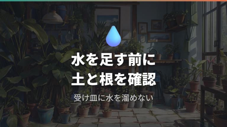 実際に困った人の対処例から見る失敗しやすい水やり