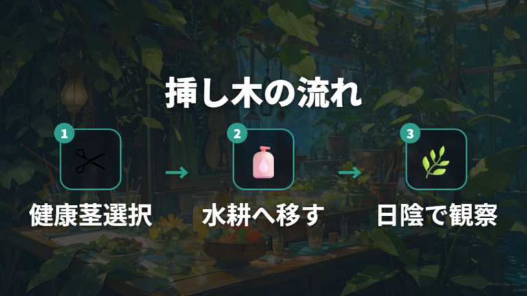 弱った株を残すなら挿し木という選択もある
