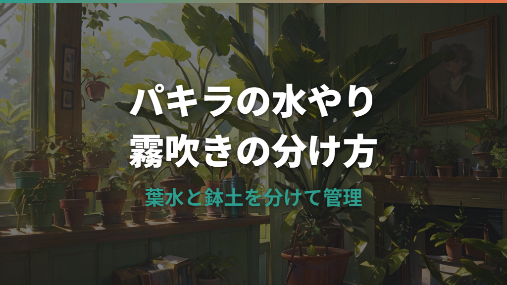パキラの水やりと霧吹きはどう分ける？葉水の目的と季節別管理
