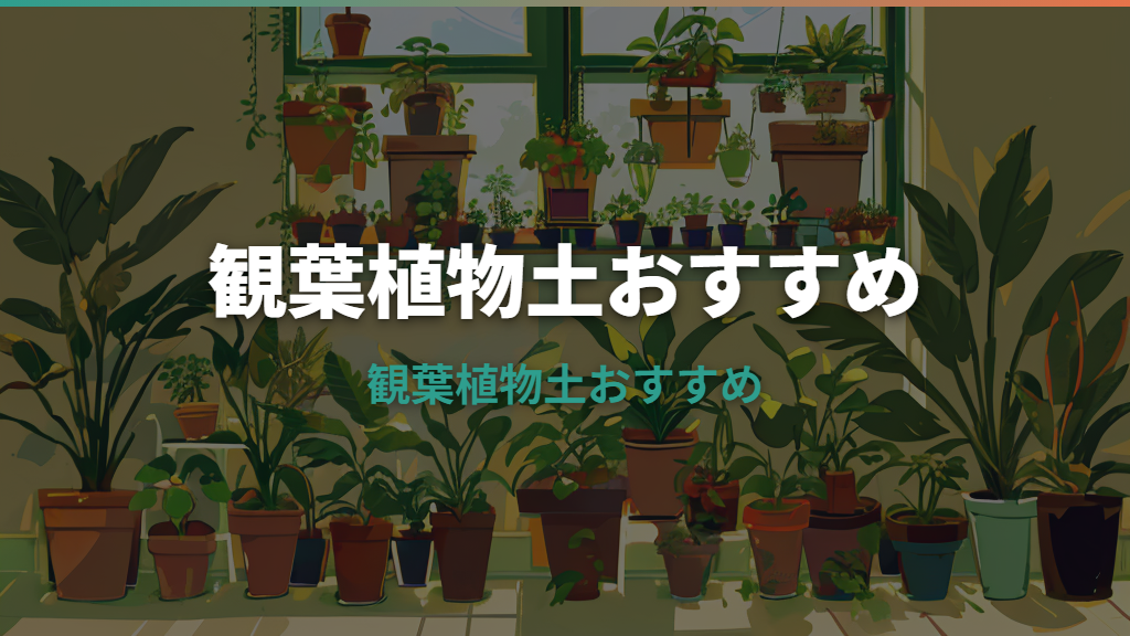 観葉 植物 土 おすすめ