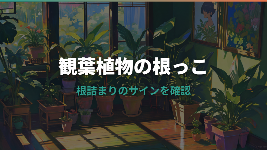 観葉植物の根っこが出たら？根詰まり・根腐れと植え替え方