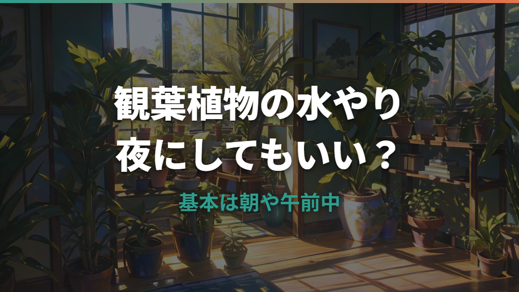 観葉植物水やり夜について知っておきたいこと