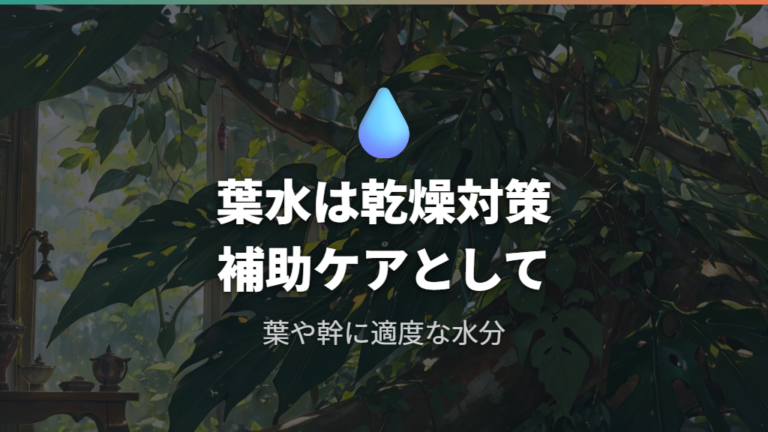 霧吹きで葉水をする目的は乾燥を補うこと