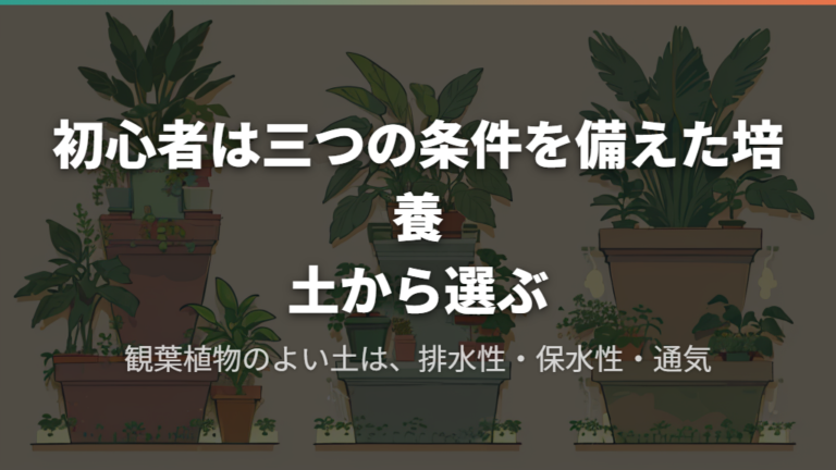 初心者は三つの条件を備えた培養土から選ぶ
