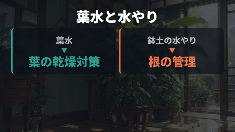 水やりと霧吹きの違いは根と葉の管理にある