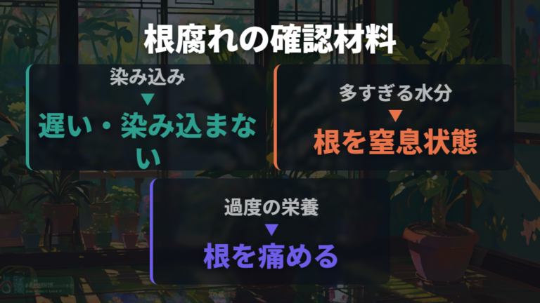 植え替えの時期と根を整理する頻度