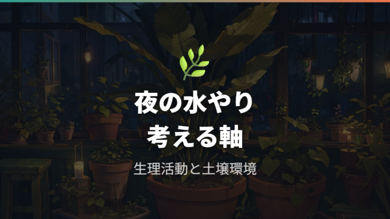 夜の水やりが根腐れや蒸れにつながると言われる理由は?