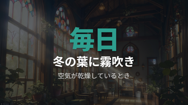 冬の水やりと霧吹き頻度はどれくらい？