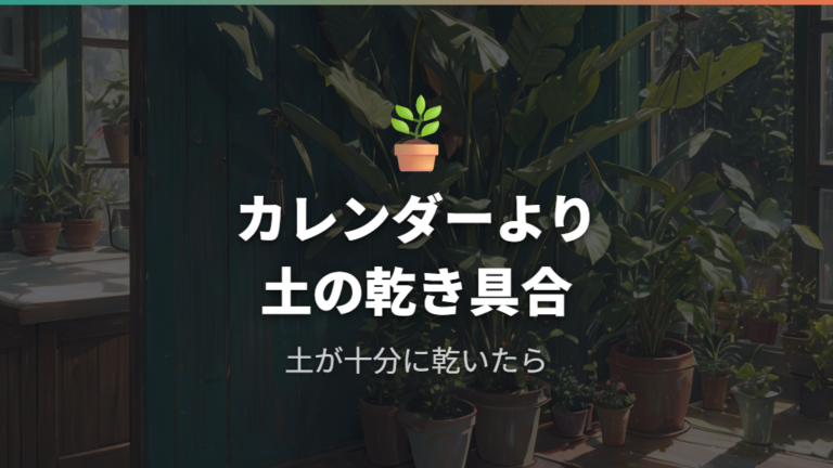 室内の観葉植物で失敗しにくい水やり頻度や土の乾き具合は?