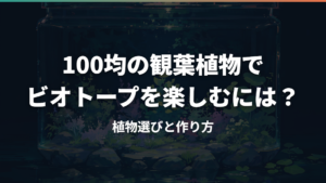 100均の観葉植物でビオトープを楽しむには?植物選びと作り方
