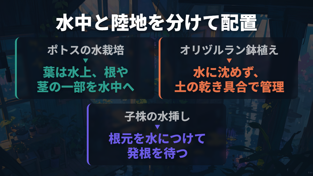 観葉植物は水草と分けて、根と葉の位置を決める