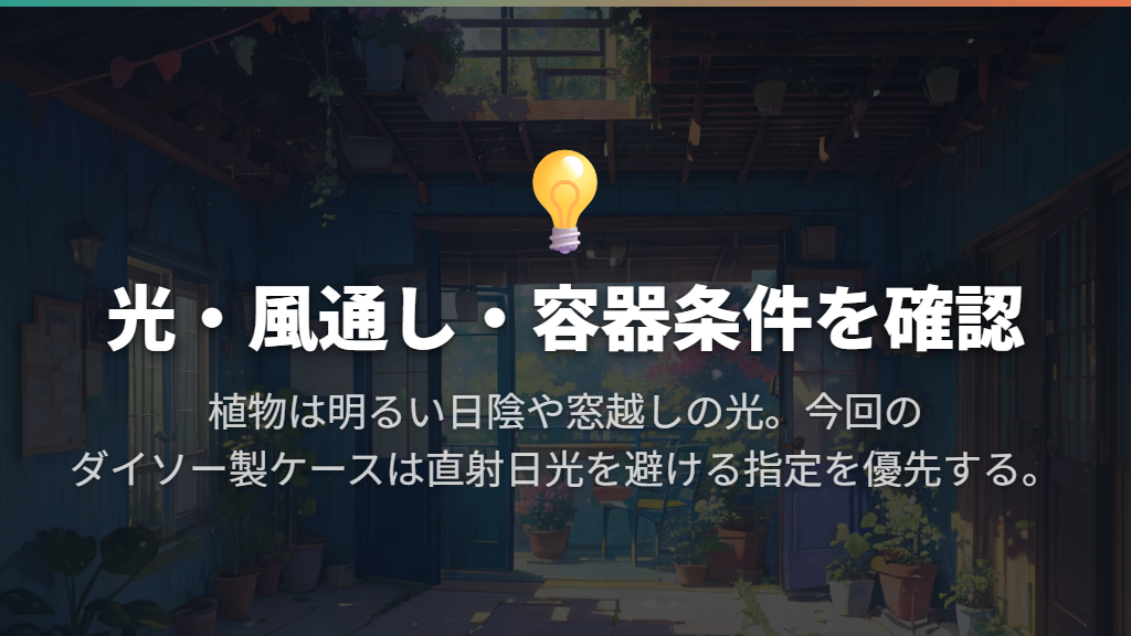 置き場所は明るさと直射日光を分けて考える