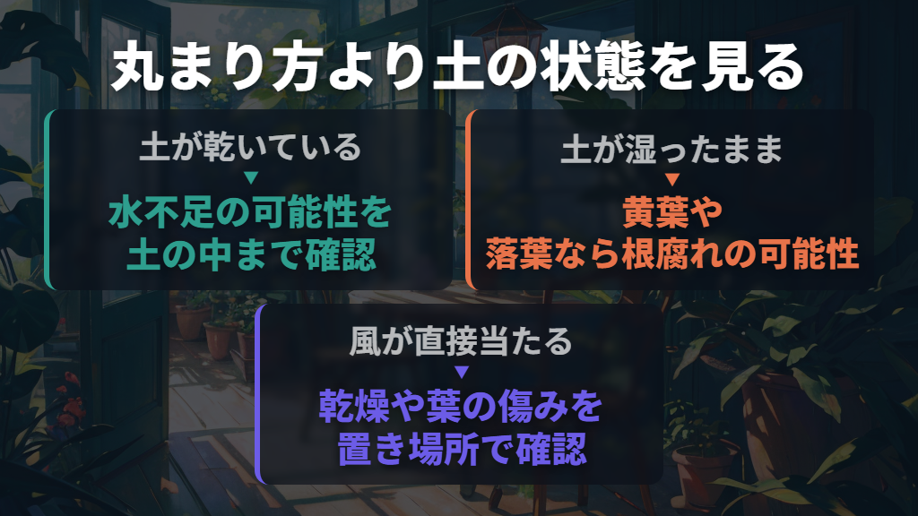 水不足かどうかは、丸まる向きより土の乾湿で考える