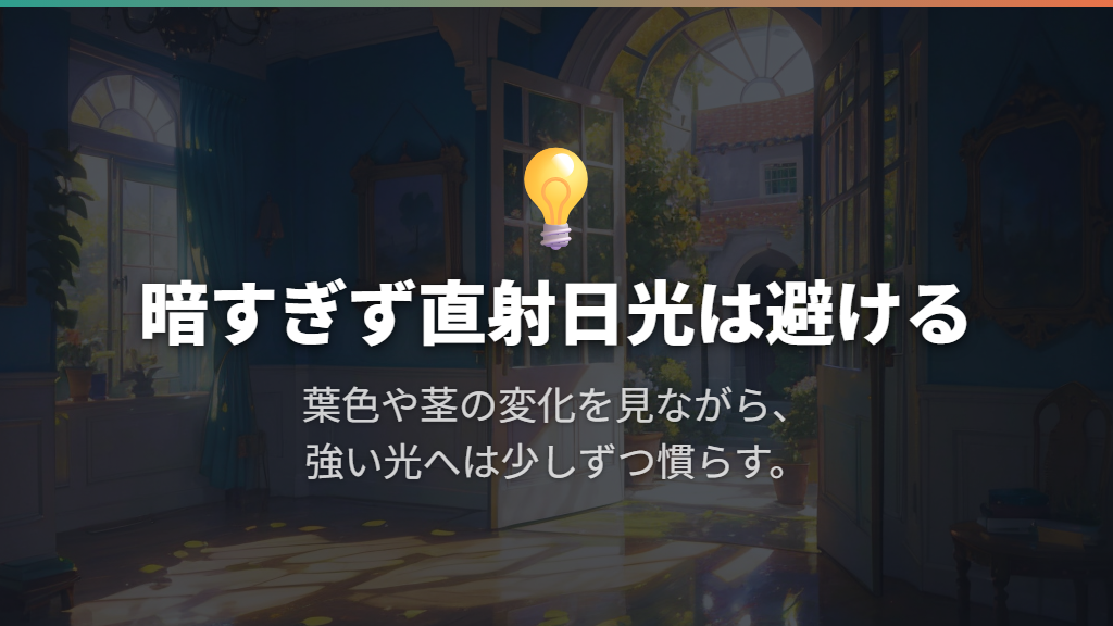 日光不足でも強すぎる日差しでも、置き場所の調整が必要